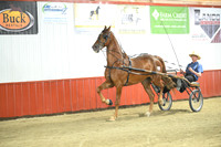 Lot 50