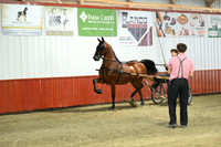 Lot 61