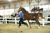 Lot 63