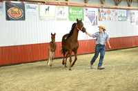 Lot 67