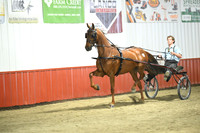 Lot 75