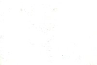 ASH_6141