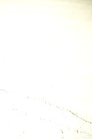 ASH_6180