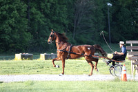 Lot 1
