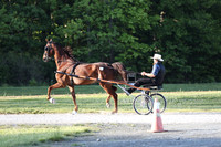 IMG_9467
