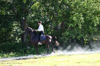 IMG_2013