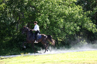 IMG_2012