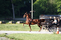 Lot 11