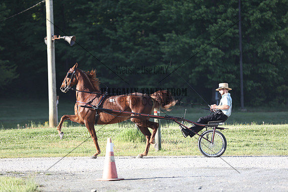 IMG_9715