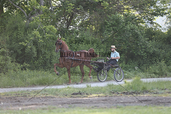 IMG_9719