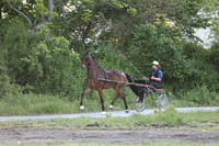 Lot 12