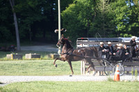 Lot 13