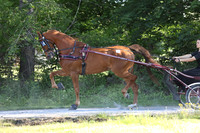 IMG_1471