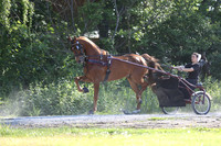 Lot 16