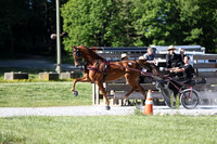 IMG_1500