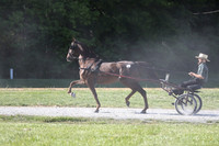 IMG_1167