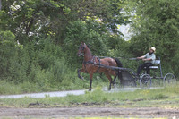 Lot 18