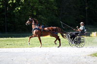 Lot 20