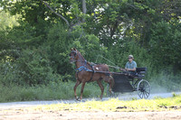 IMG_1359