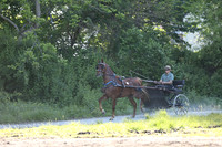IMG_1358