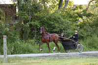 Lot 22