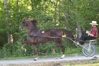 Lot 23