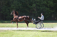 IMG_0829