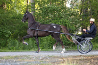 IMG_9582