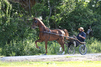 IMG_1433