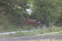 IMG_0137