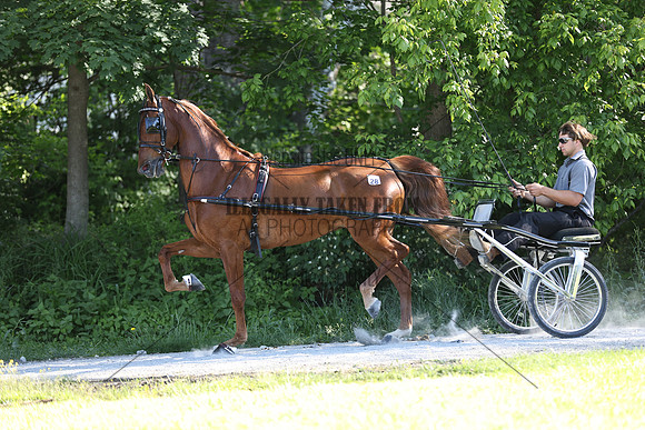 IMG_1738