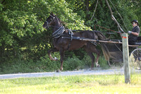 IMG_0781