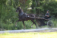 IMG_0779