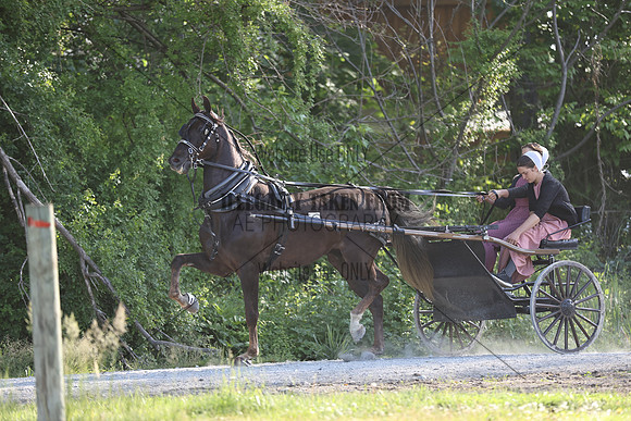 IMG_0973