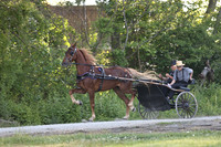 IMG_9596