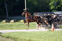 IMG_9606