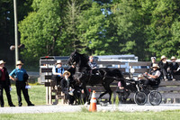 Lot 31
