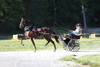Lot 33