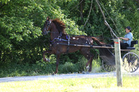 IMG_1452