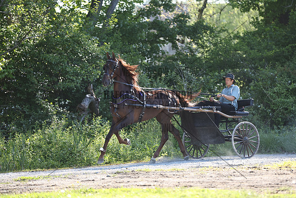 IMG_1450