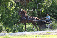 IMG_1451