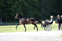 Lot 34