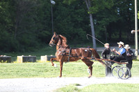 Lot 36