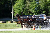 IMG_1369