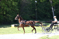 IMG_1371