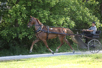IMG_0876