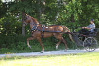 IMG_0877