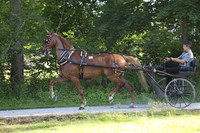 IMG_0878