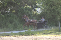 Lot 38