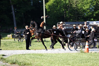 Lot 4